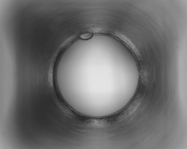 X0000101410442200807211059