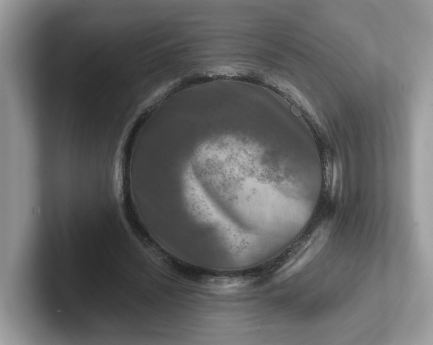 X0000101410444200807211059