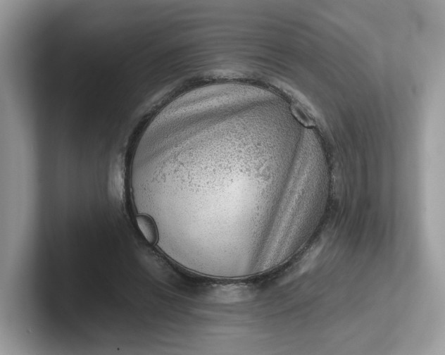 X0000101410446200807211059