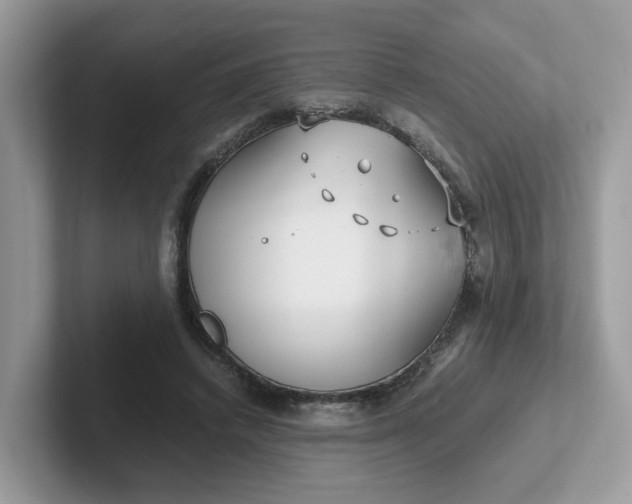 X0000101410448200807211059