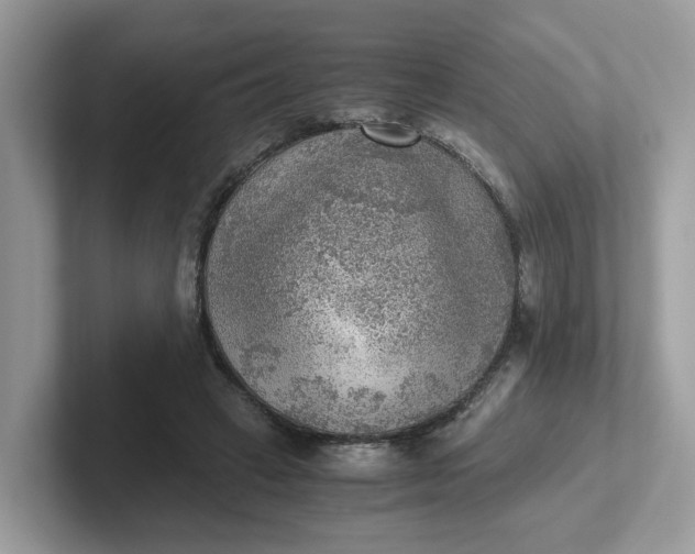 X0000101410449200807211059