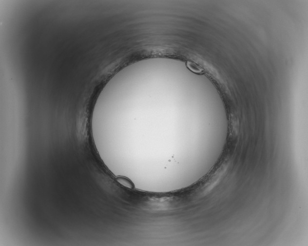 X0000101410450200807211059