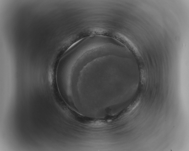 X0000101410451200807211059