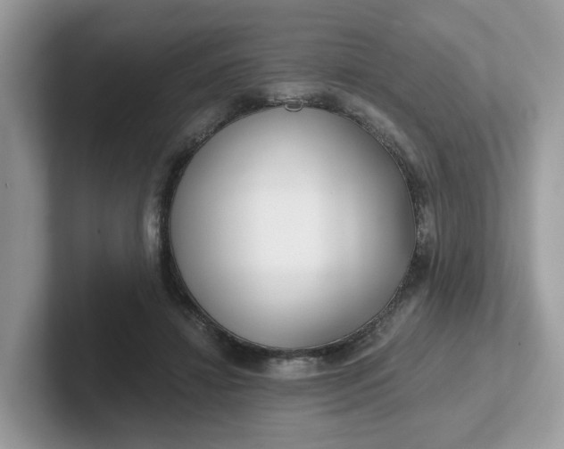 X0000101410452200807211059