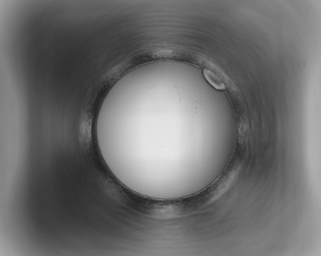 X0000101410454200807211059