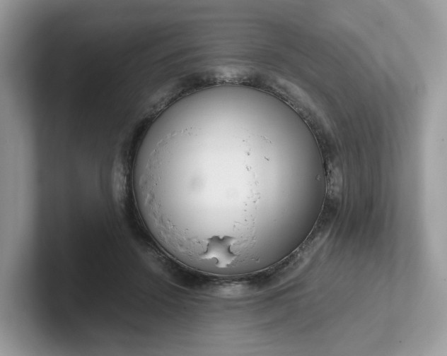 X0000101410456200807211059