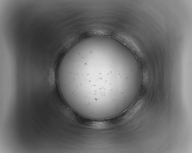 X0000101410457200807211059