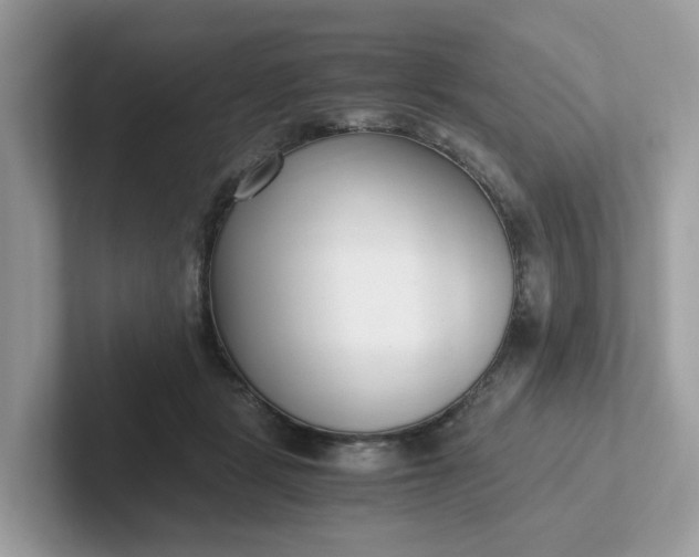 X0000101410461200807211059