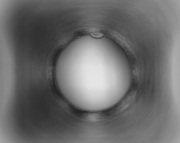 X0000101410462200807211059