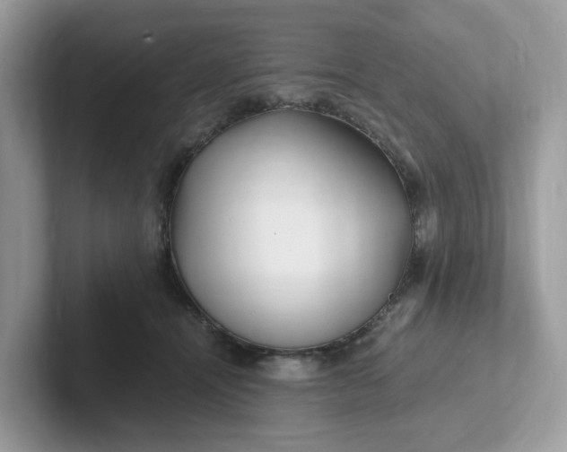 X0000101410464200807211059