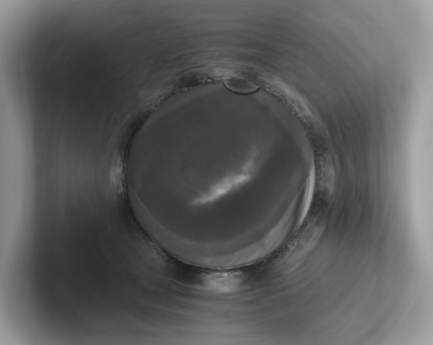 X0000101410465200807211059