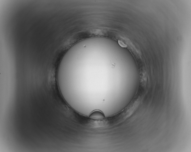 X0000101410466200807211059