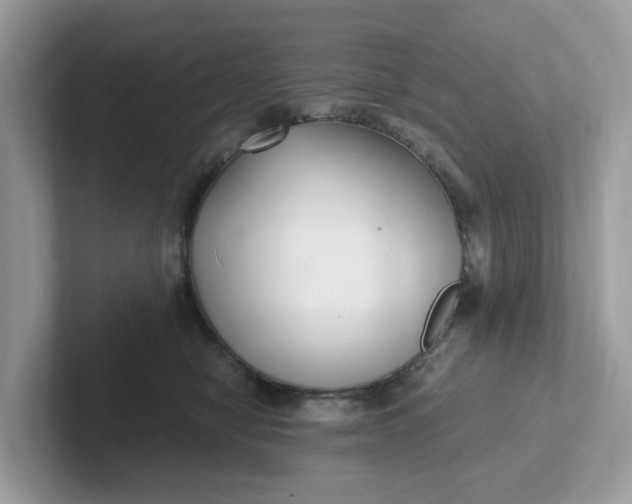 X0000101410470200807211059