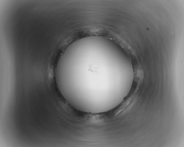 X0000101410472200807211059