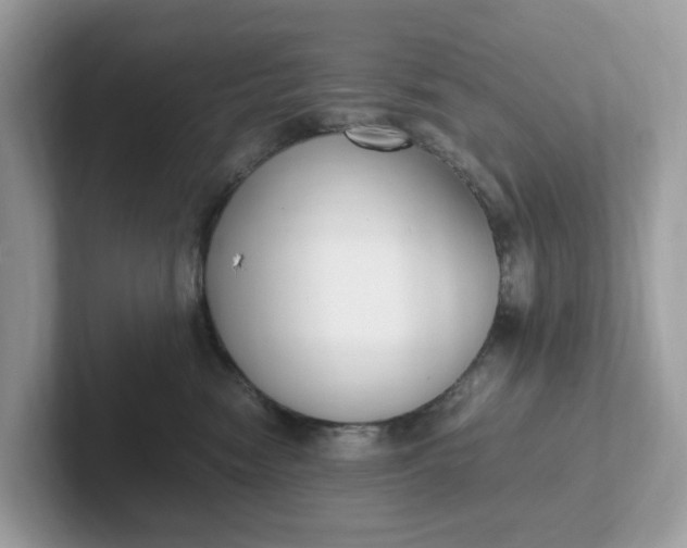 X0000101410474200807211059