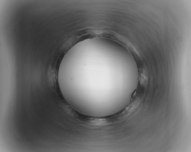 X0000101410476200807211059