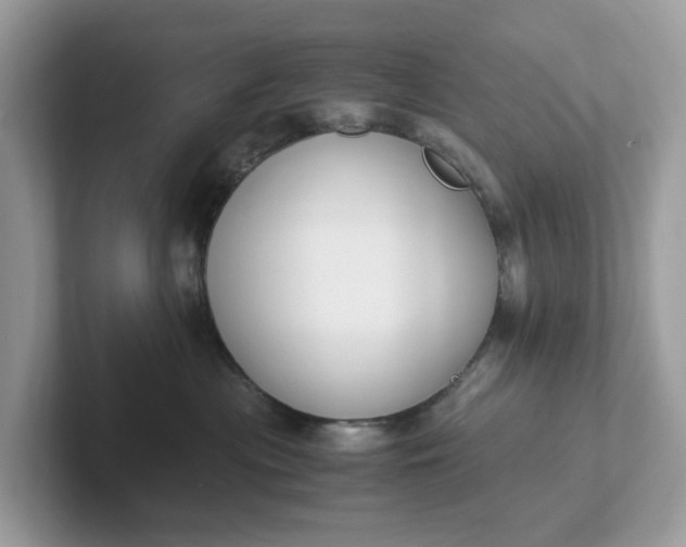 X0000101410477200807211059