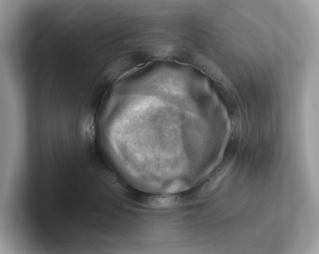 X0000101410479200807211059