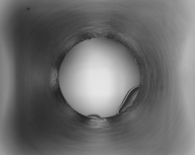 X0000101410480200807211059