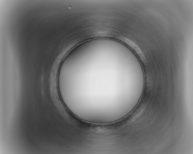 X0000101410481200807211059