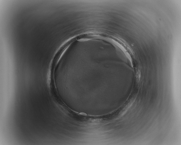 X0000101410484200807211059