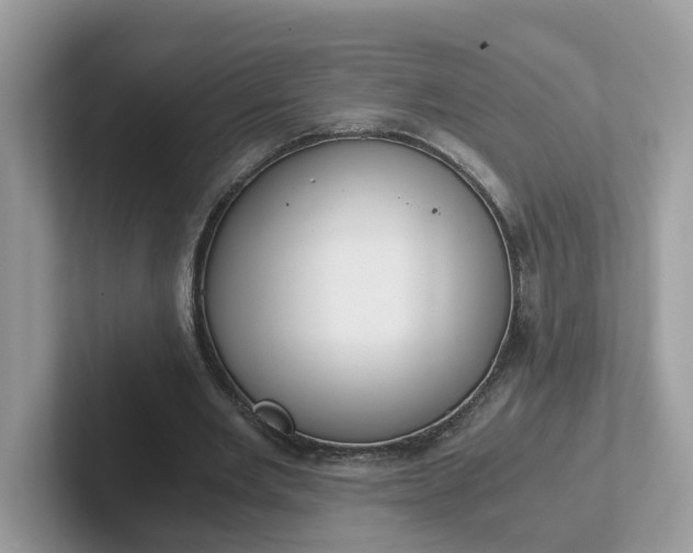 X0000101410485200807211059