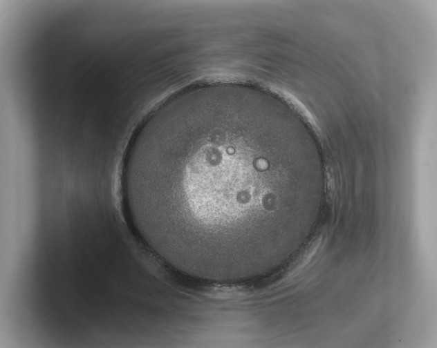 X0000101410487200807211059