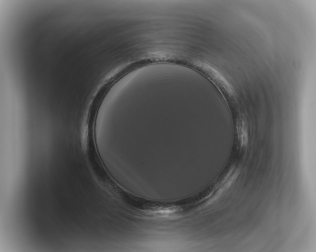 X0000101410488200807211059