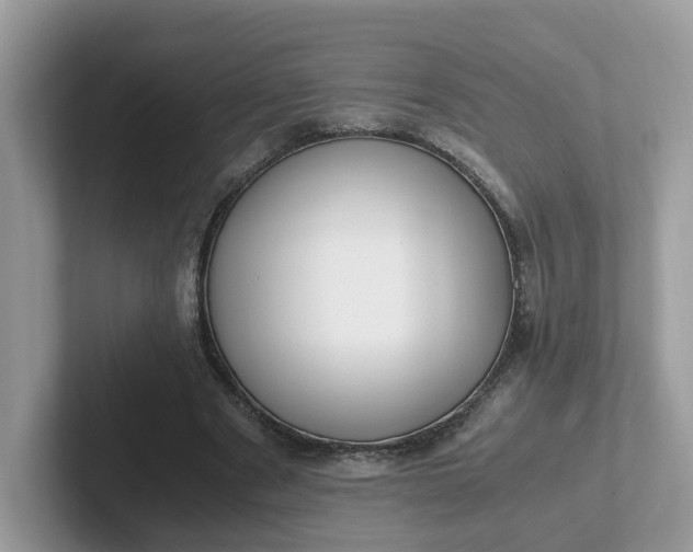 X0000101410489200807211059