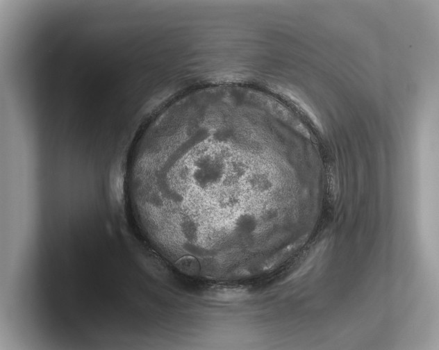 X0000101410491200807211058