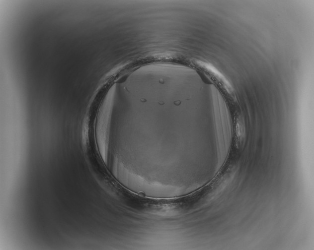 X0000101410492200807211058