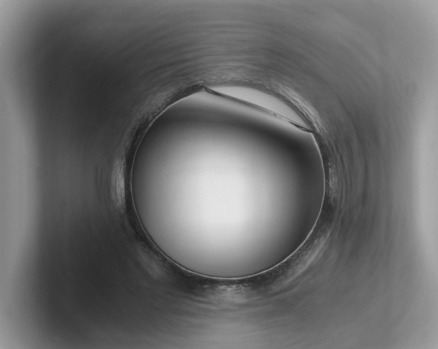 X0000101410493200807211058