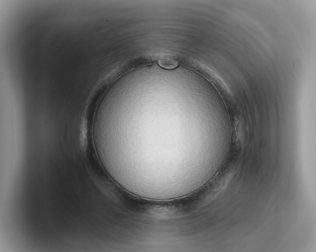 X0000101410494200807211058