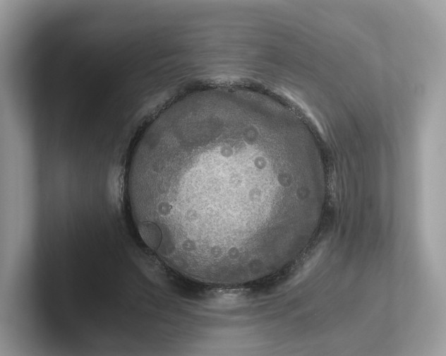 X0000101410495200807211058