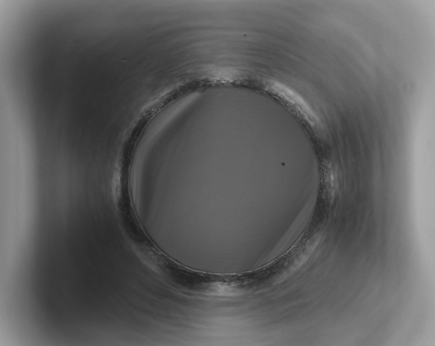 X0000101410496200807211058