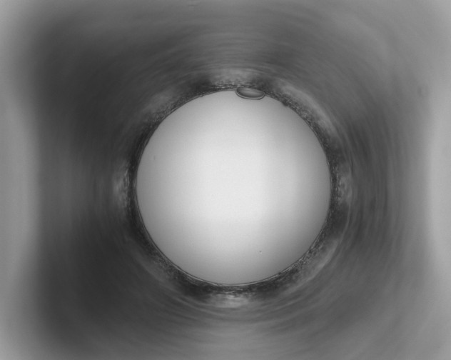 X0000101410498200807211058