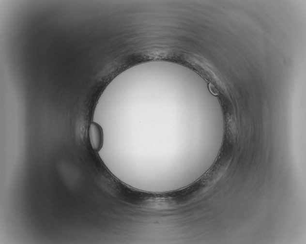 X0000101410499200807211058