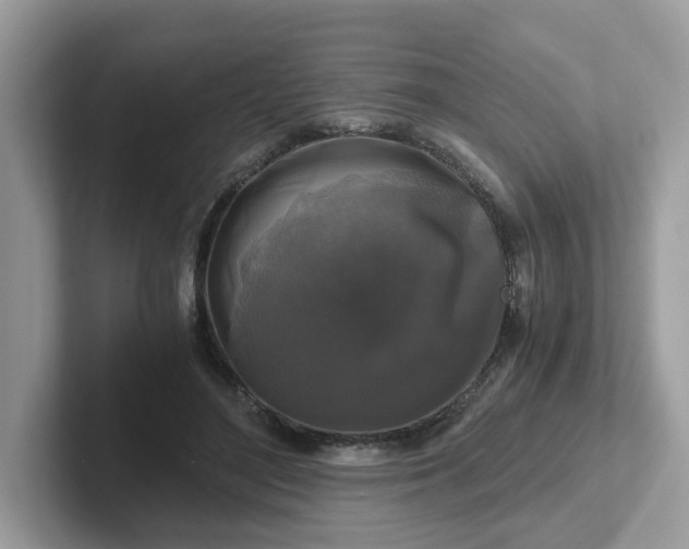 X0000101410500200807211058