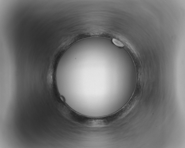 X0000101410501200807211058