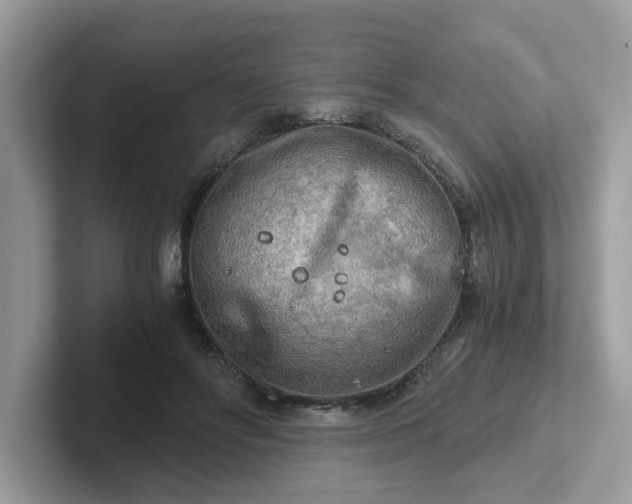 X0000101410502200807211058