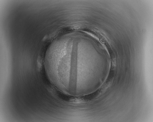 X0000101410503200807211058