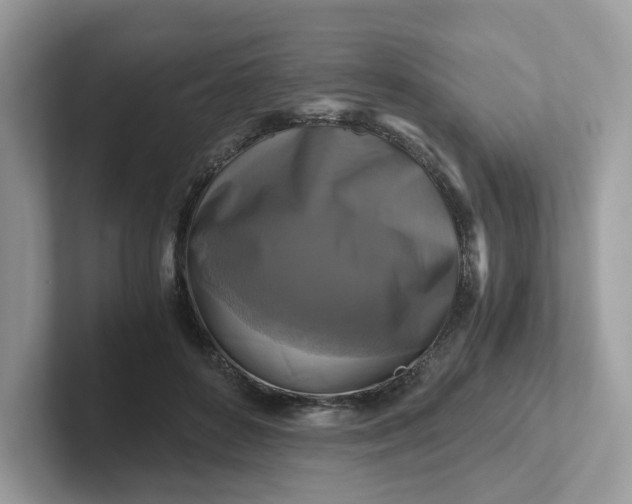 X0000101410504200807211058