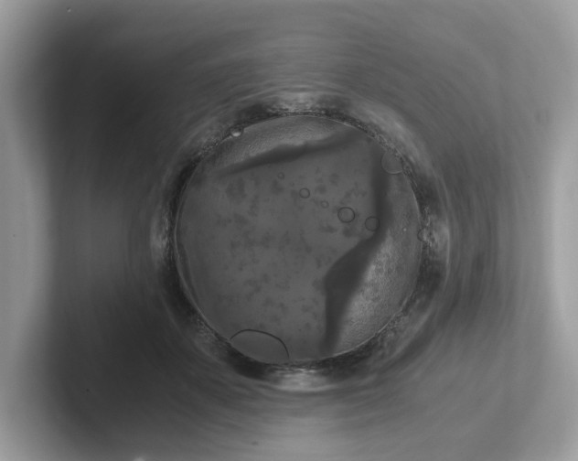 X0000101410507200807211058