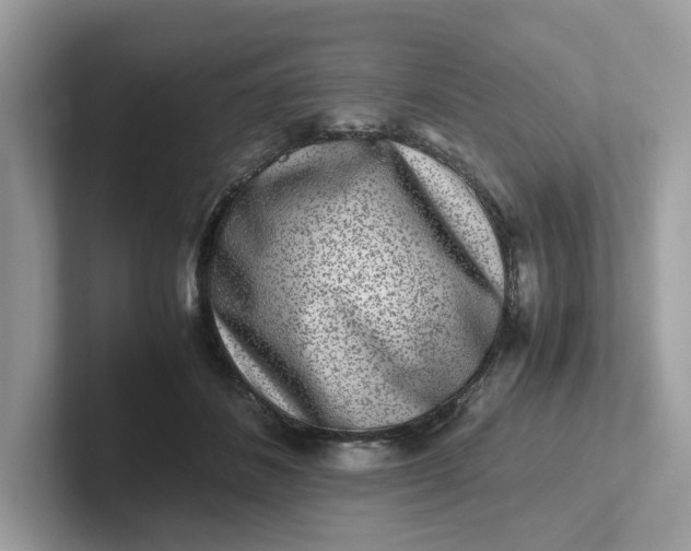 X0000101410508200807211058