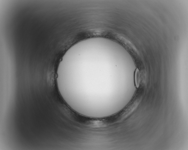 X0000101410509200807211058