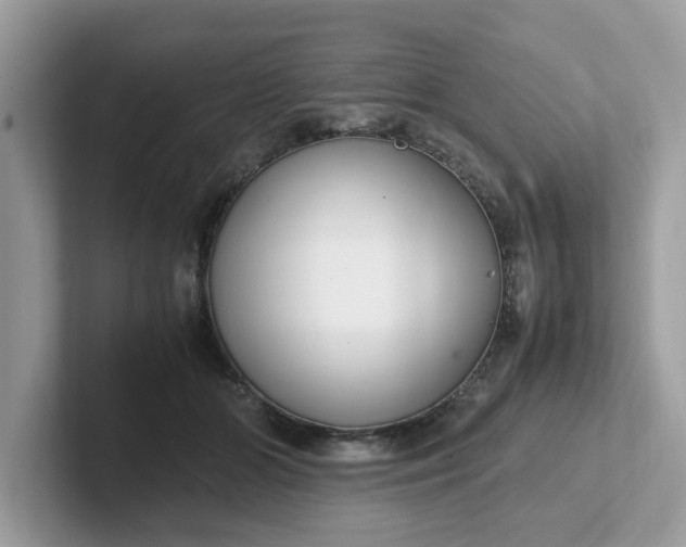 X0000101410510200807211058