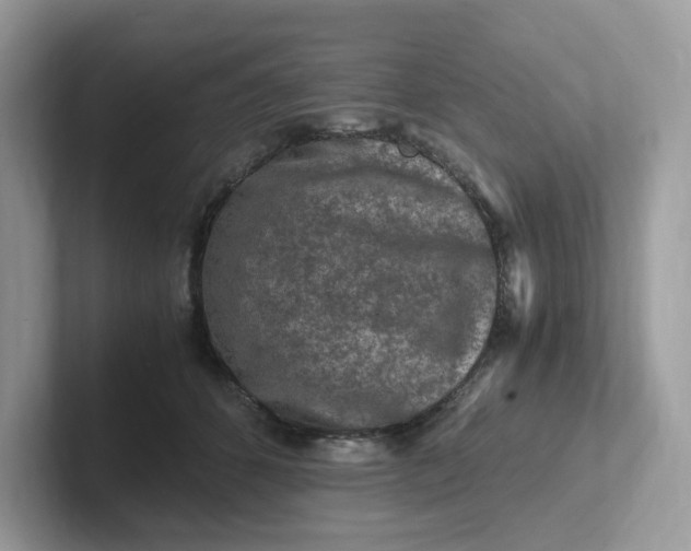 X0000101410512200807211058