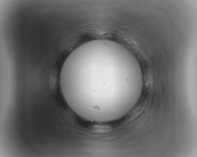 X0000101410515200807211058