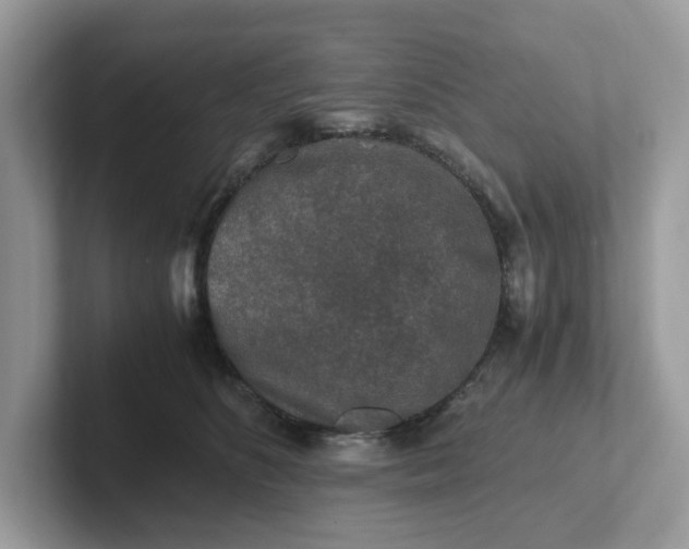 X0000101410516200807211058