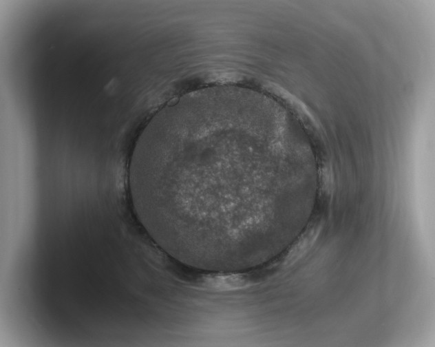 X0000101410517200807211058